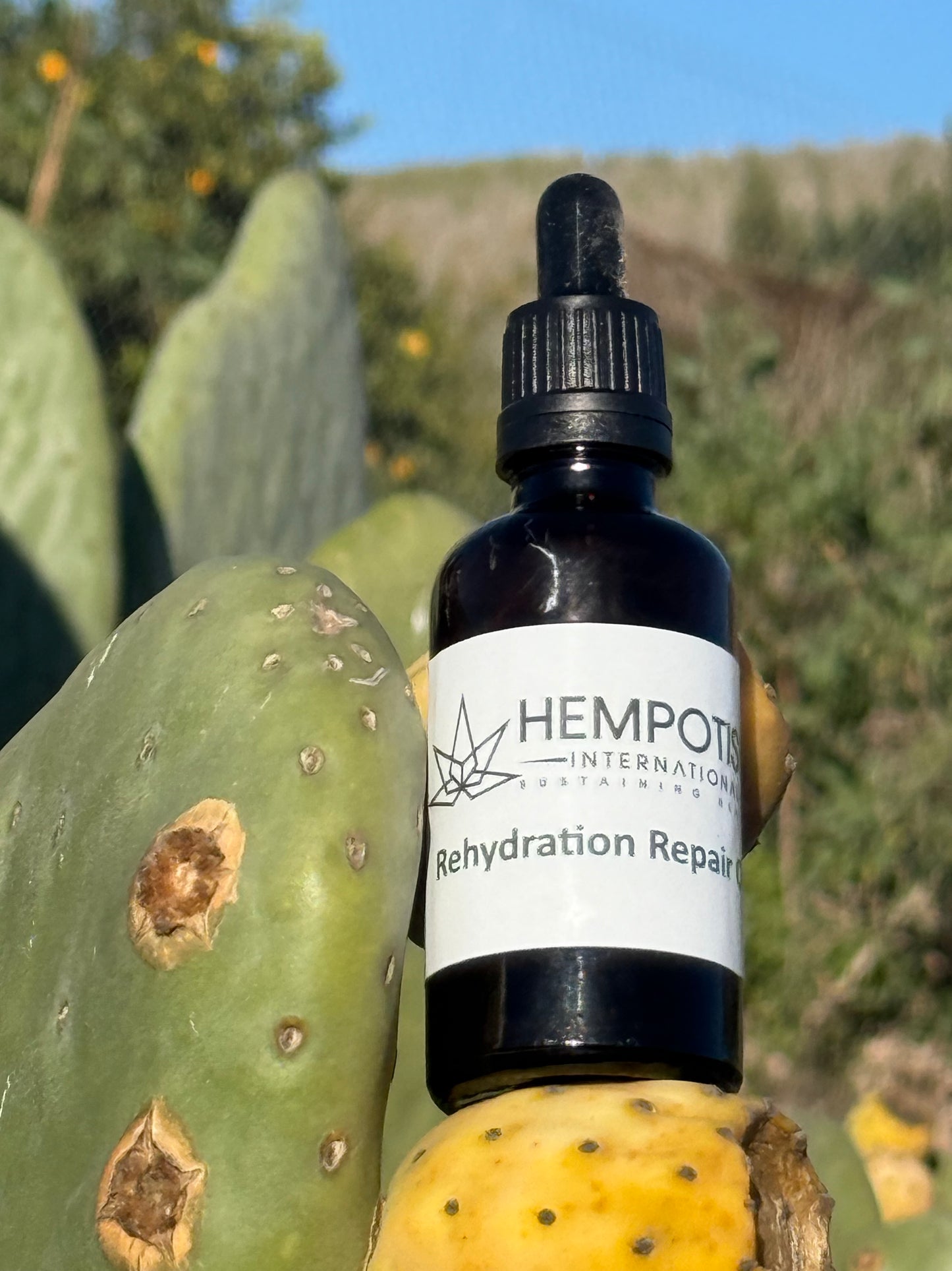 Hempotism Rehydration Repair Oil 50ml