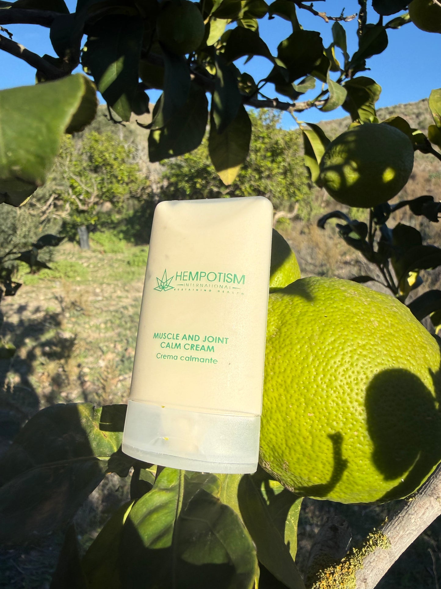 Hempotism Muscle And Joint Cream 35ml