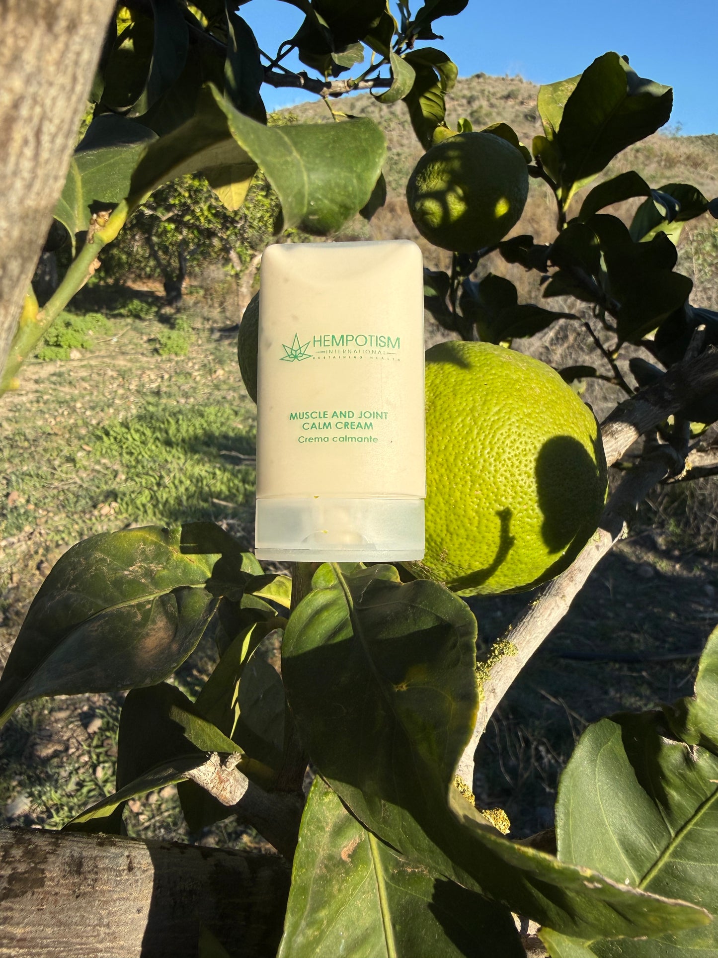 Hempotism Muscle And Joint Cream 35ml