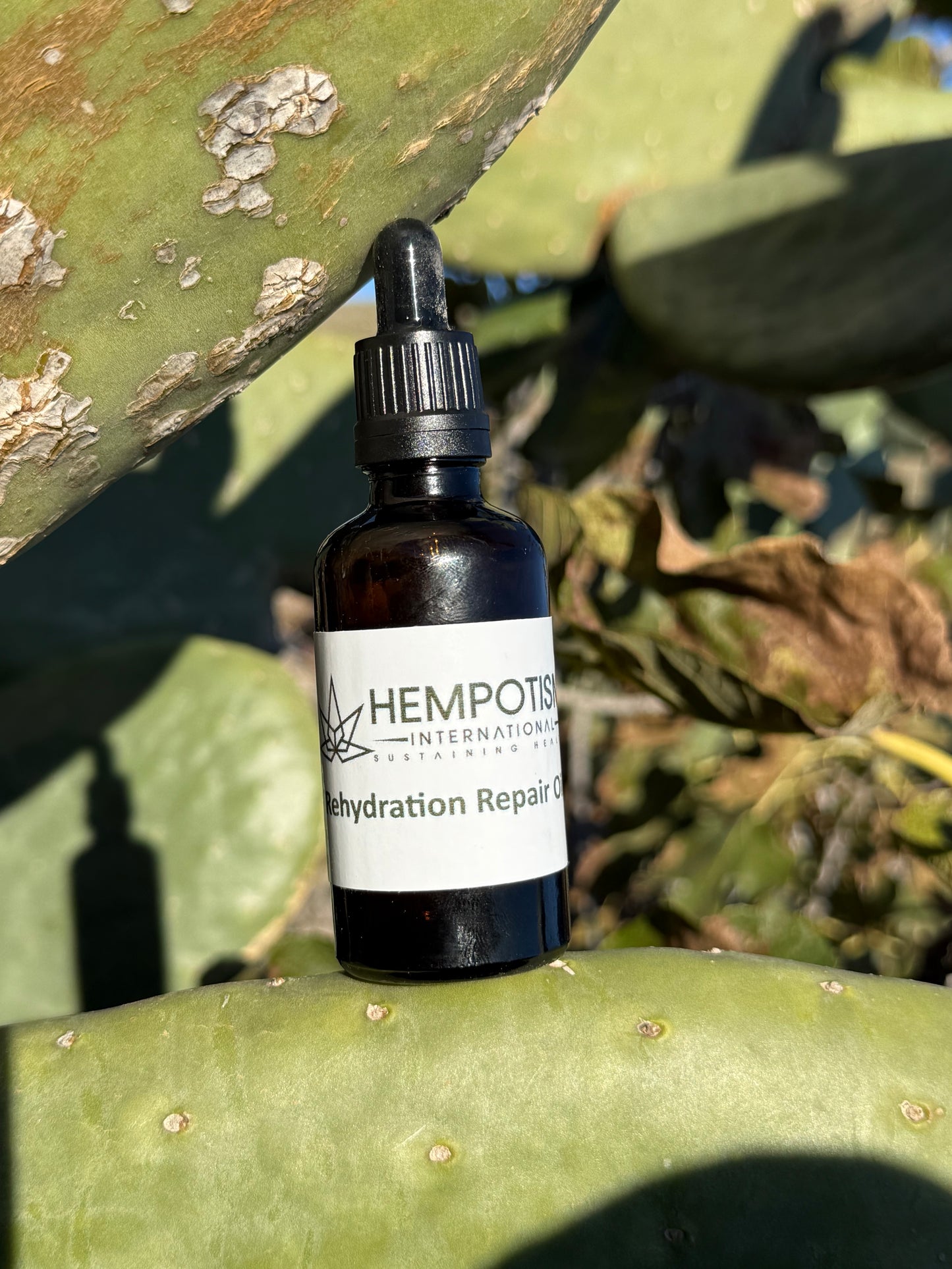 Hempotism Rehydration Repair Oil 50ml