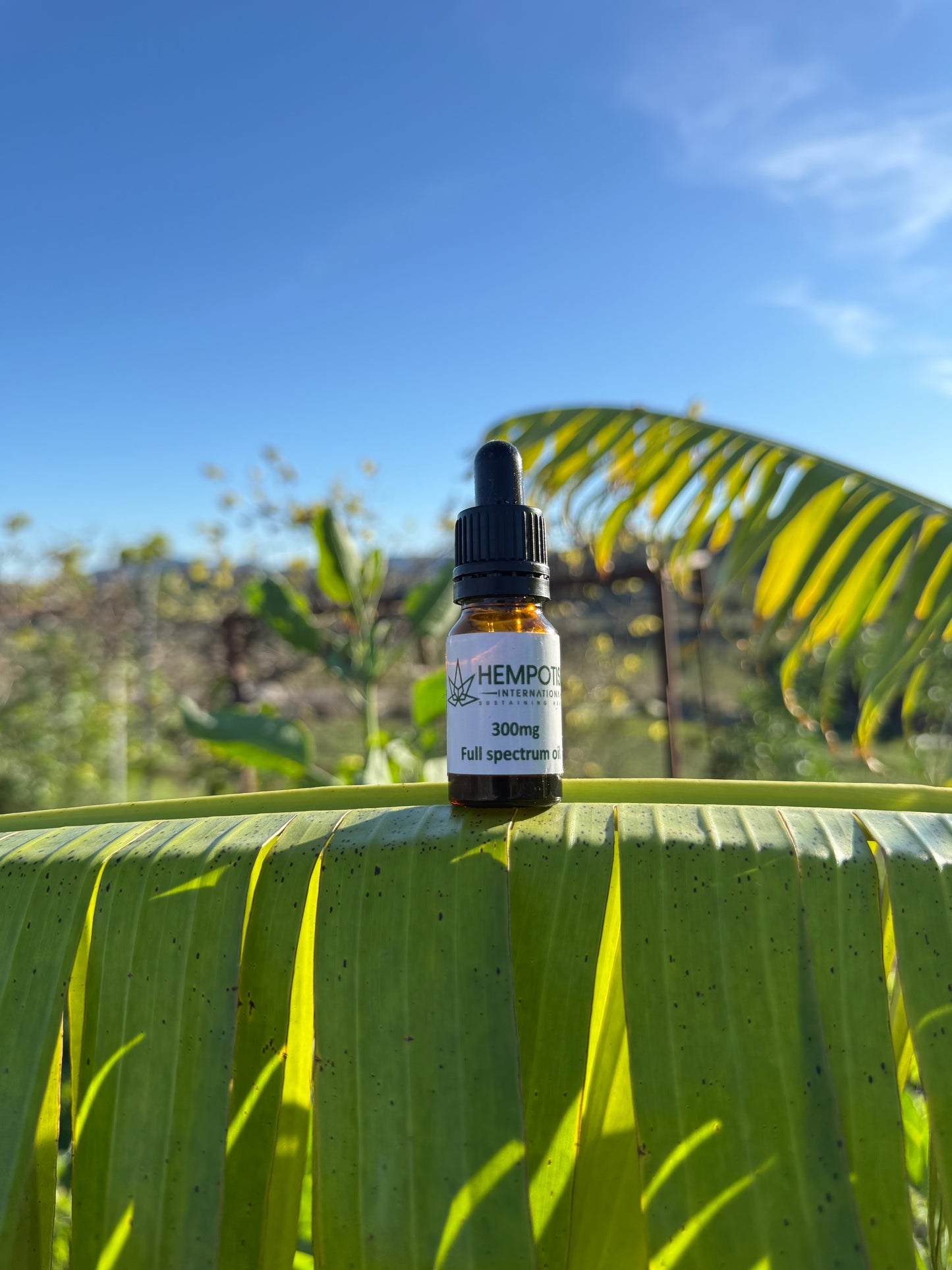 300mg CBD Oil 10ml